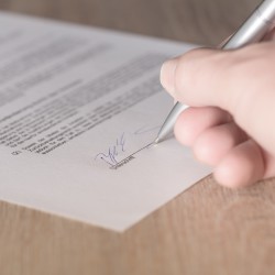 6 consejos para